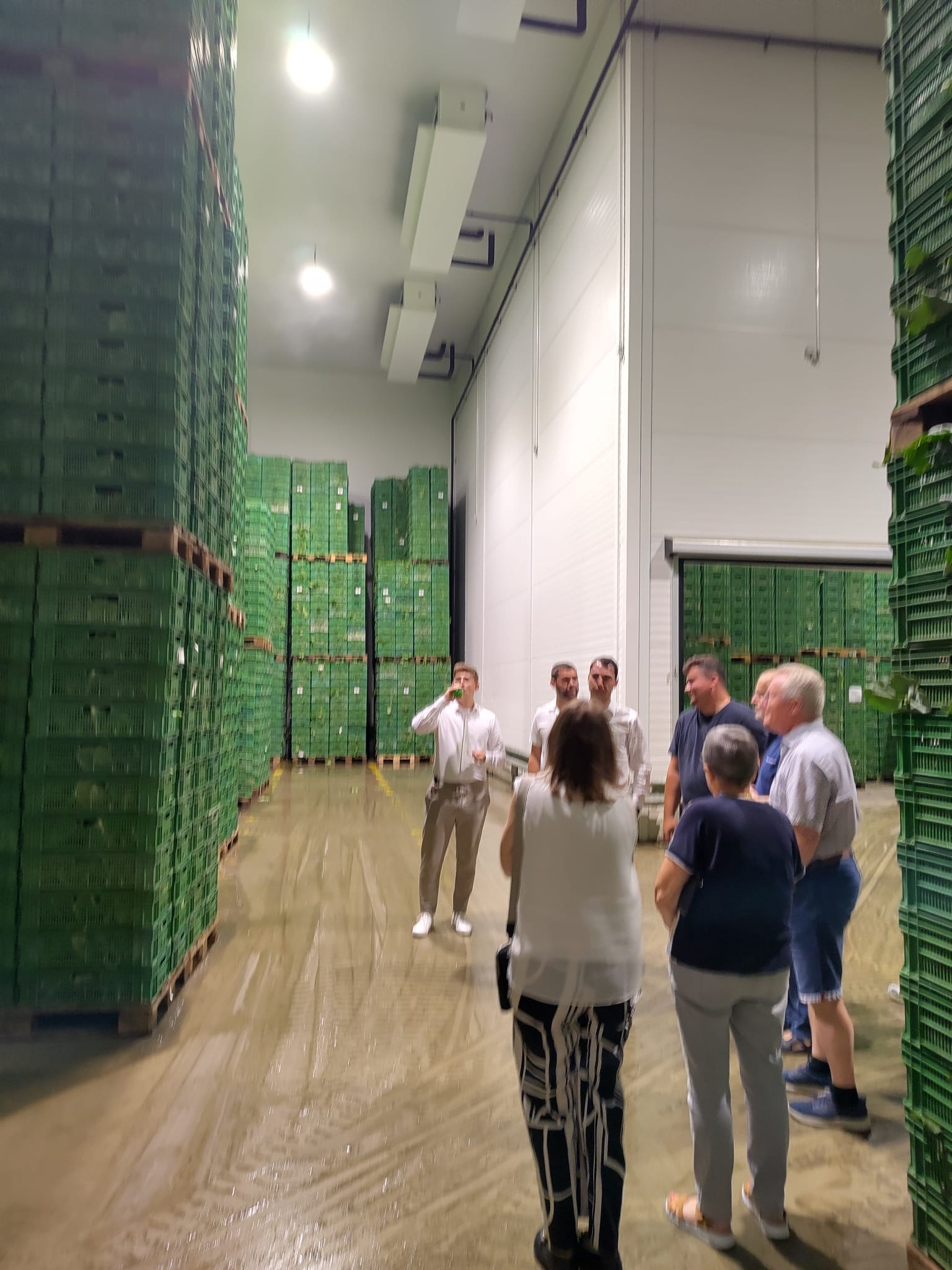Zu Gast bei Gemüse Egger Zu Gast bei Gemüse Egger